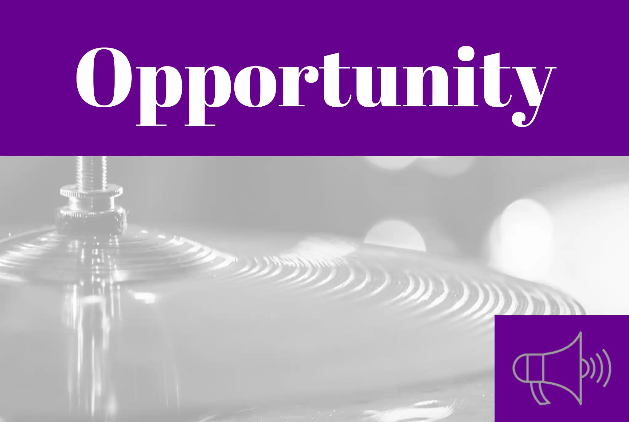 opportunity Opportunity
